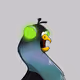 Sewer Birds