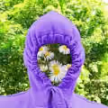 Plant Collection Vol. 1