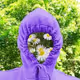 Plant Collection Vol. 1