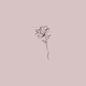 Blooming to wither