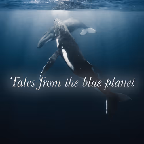 Tales From The Blue Planet