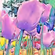 Tulips to collect