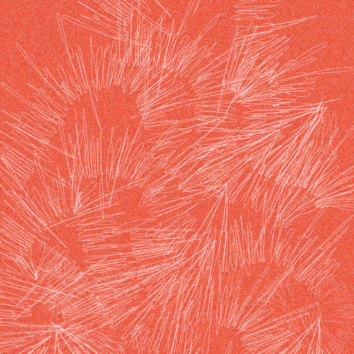 Cosmico by Emily Edelman