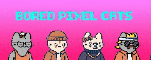 2 Bored Pixel Cats floor 0.00048