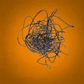 CryptoSquiggles.