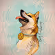 Doge Sketches