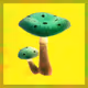 Chuck. Shroom.