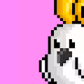 Crypto Cockatoos