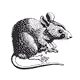 Neo Tokio Rat Kingdom Maps