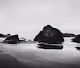 Jeff Nicholas | The Editions