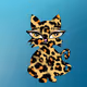 Hawa Cat & Atom Cat Jaguar