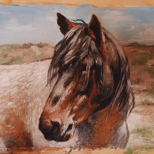 Original paintings by BorAmel