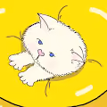 The Cat cushion