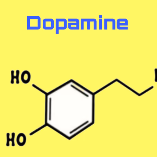 My Chemical Reaction