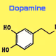 My Chemical Reaction