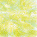 SparklingNature