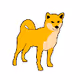 Crypto-Shiba