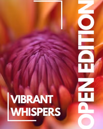 Vibrant Whispers Volume 1