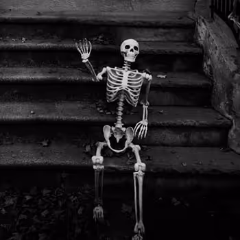 Halloween in Brooklyn: Trick-or-Treat