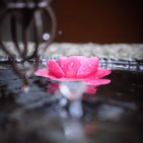 Temples of Japan Edition