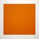 Orange Legacy