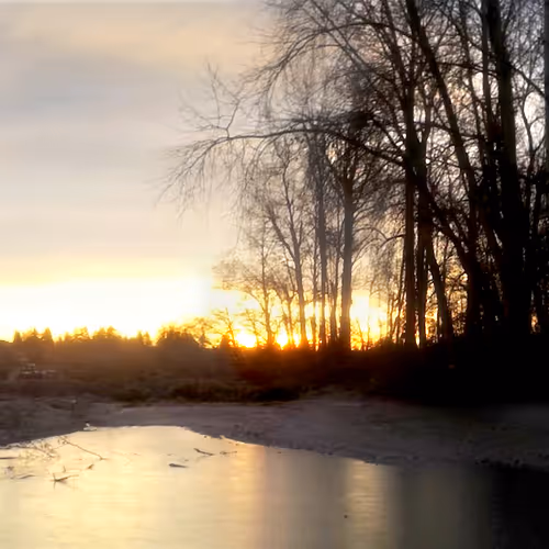 Panoramic NFTography