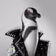 Punk Penguin