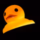 DailyDuckNFT