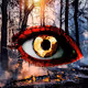 All Eyes On Who?