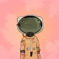 Bibi Froggy NFT