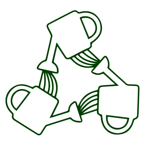 Prosocialise Collection 0