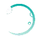 Safemoon #NFTs - old