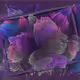 re:Fleur by AnaPet