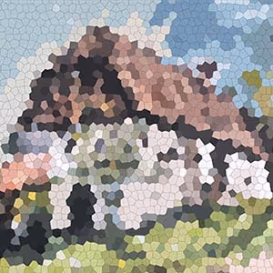Old house puzzle art collection