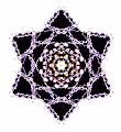 Xpressions - Generative Collection