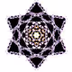 Xpressions - Generative Collection