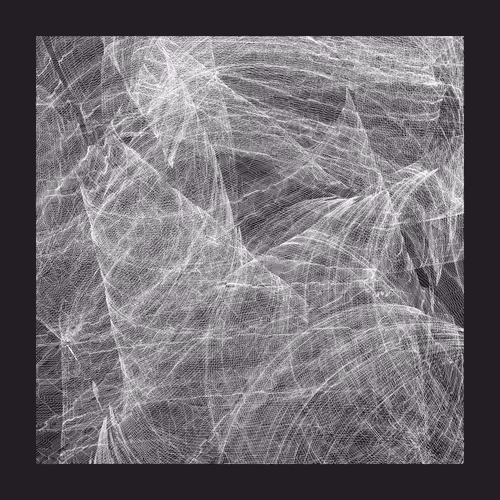 The Fabric of Trees by Zancan