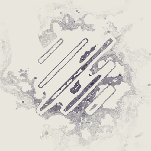 Decal by Kjetil Golid