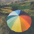 Colour Shit