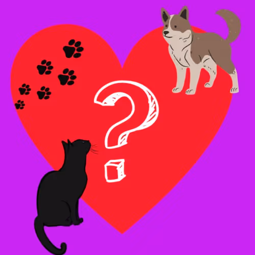 CRYPTOBABIES - Cats | Dogs