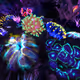 Hazel Griffiths: Reefscapes