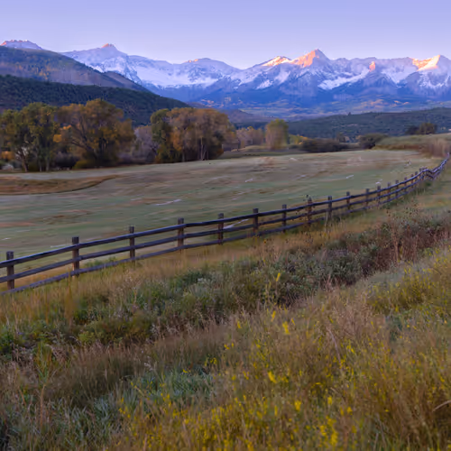 Gratitude by Brynn Alise