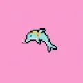 Weird Dolphins