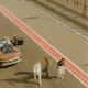 Trackdays