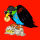 Millionaire Vulture Gang