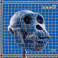 Ape Skull