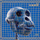 Ape Skull