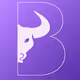 Bullfy