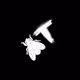 Origins of FLYT
