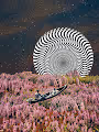 Strangeworld